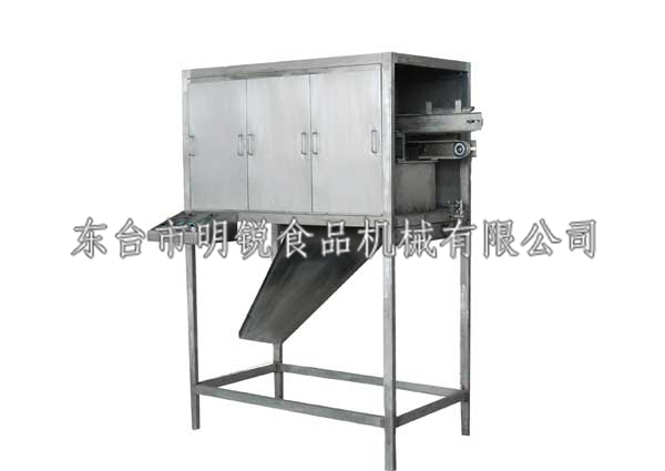 DSJ-CX枕式成型机